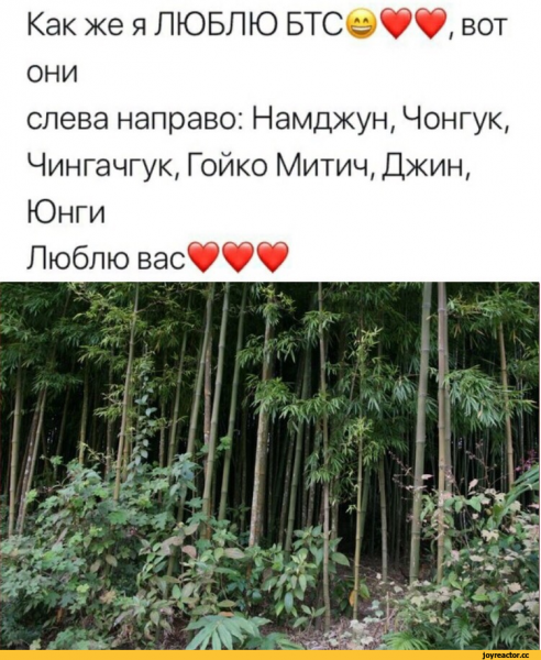 Вот они слева направо Намджун Чонгук Чингачгук Гойко Митич