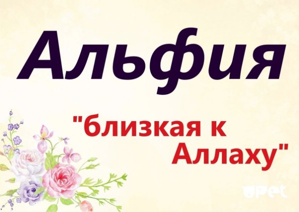 Приколы про Альфию