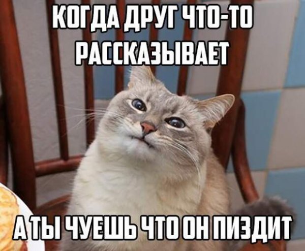 Мемы оскорбления