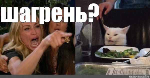 Мем орущая баба и кот