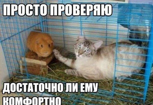 Картинки для группы смешные с надписями