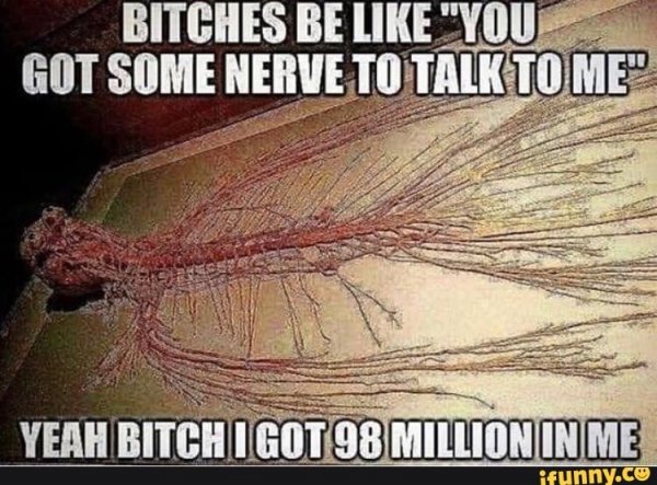 Memes be like