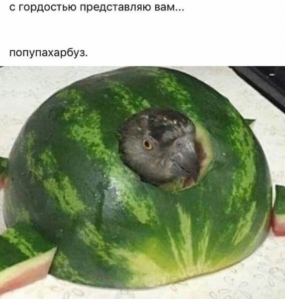 Негр в арбузе Мем