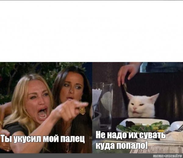 Орущий кот Мем