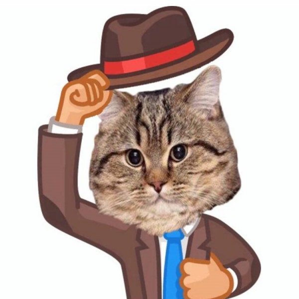 Кот снимает шляпу