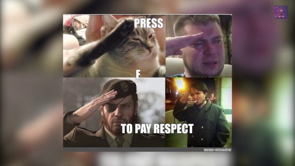 Pay respect кот