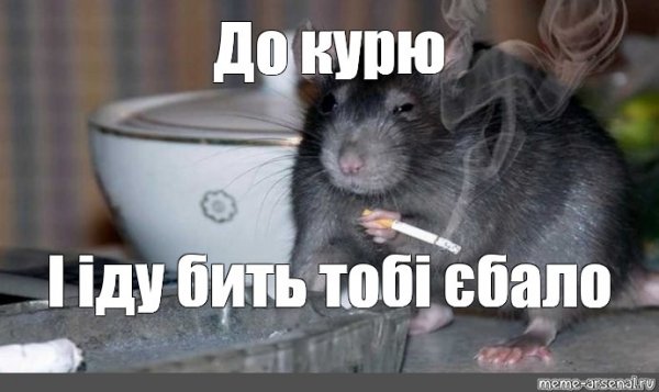 Я крыса Мем