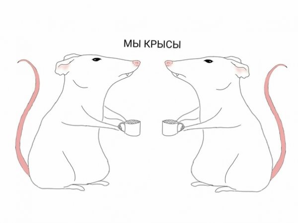 Мы крыски