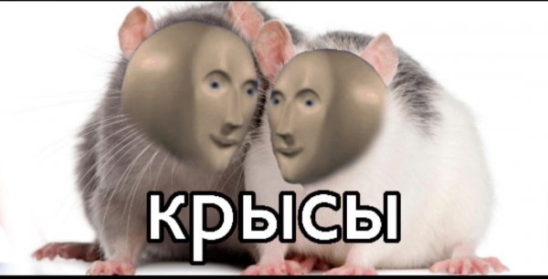 Крыски подружки Мем