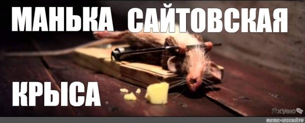 Смешная крыса Мем