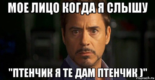 Праздник 10 декабря мемы