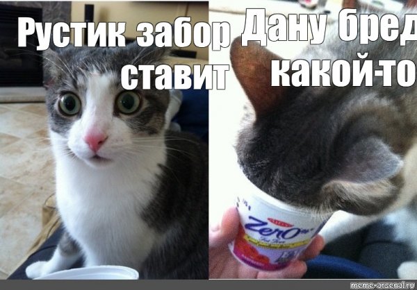Да не бред какой то Мем шаблон