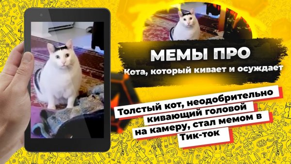Кот Бендер мемы