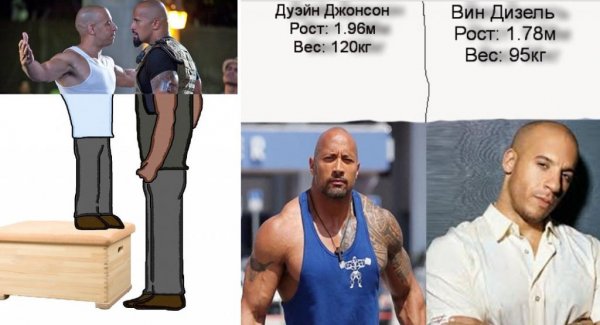 Вин дизель рост и Дуэйн