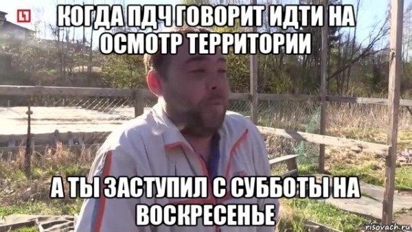 Пахую Мем