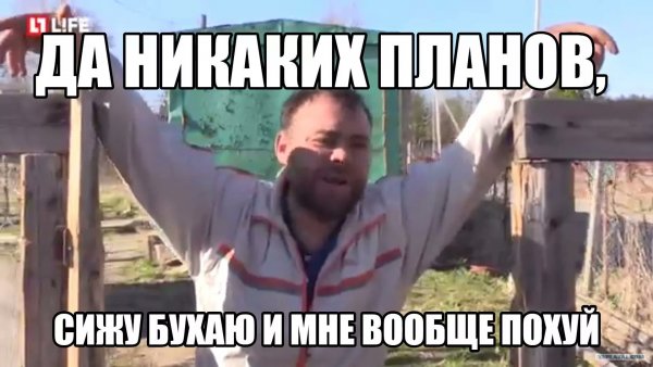 Я сижу бухаю и мне вообще