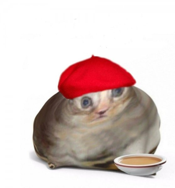 Французский кот Мем