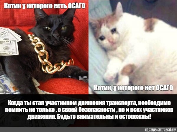 Постановляю постановление Мем кот