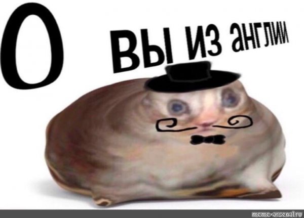 О вы из Англии