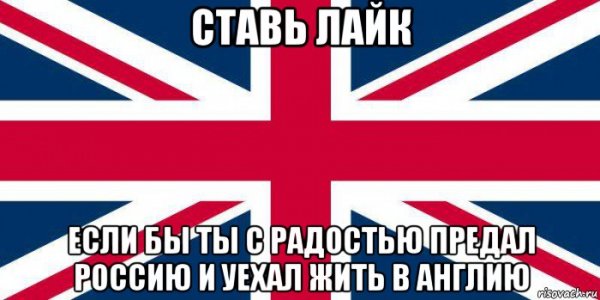 Толстый кот в платочке