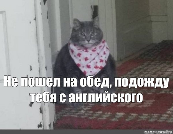 Кот жрать Мем