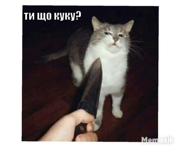 Кот с ножами вокруг