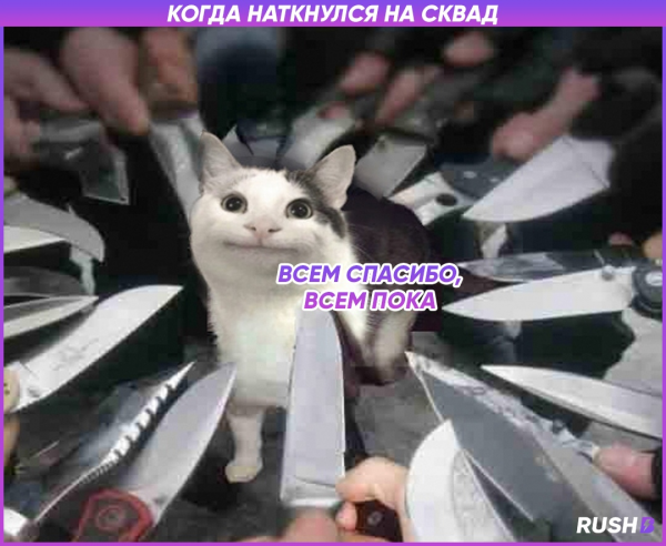Кот с ножами вокруг