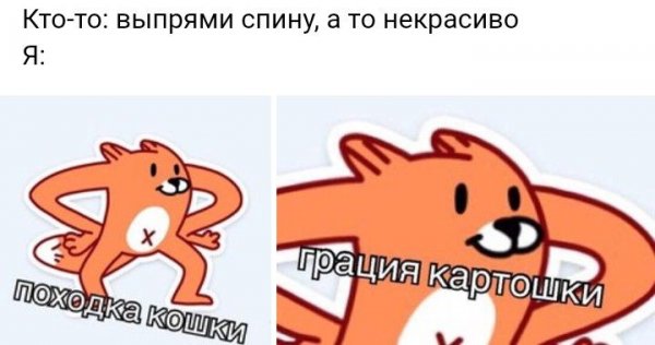 Грация кошки ловкость картошки