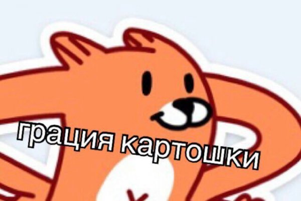 Кот картошка Мем