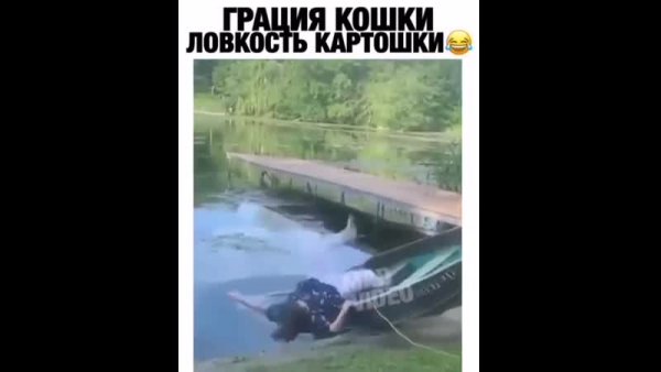 Грация картошки ловкость