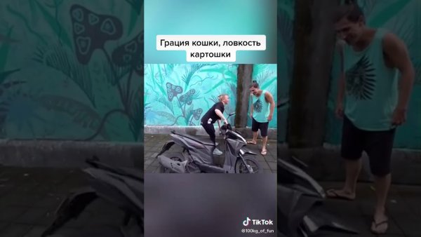 Грация кошки ловкость картошки