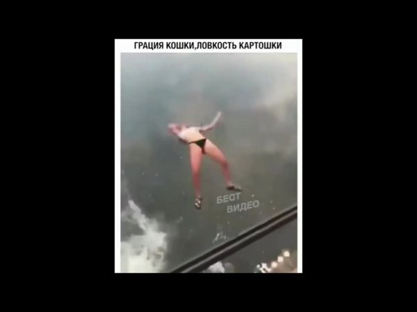 Грация кошки ловкость картошки