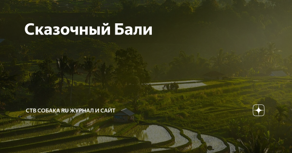 Бали Мем