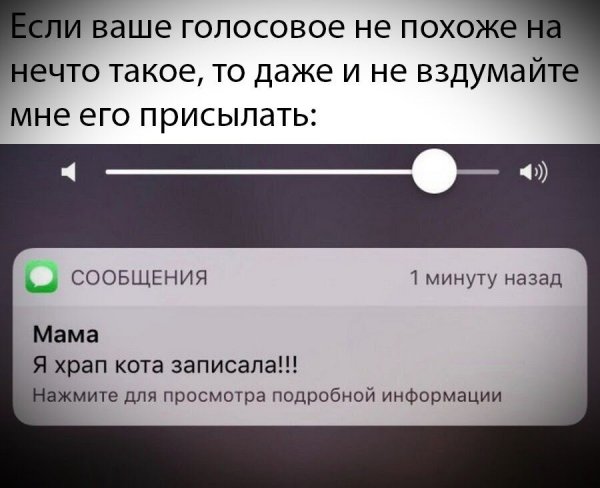 Смешные цитаты Конфуция