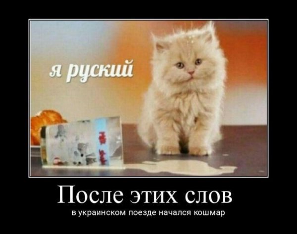Я русский кот