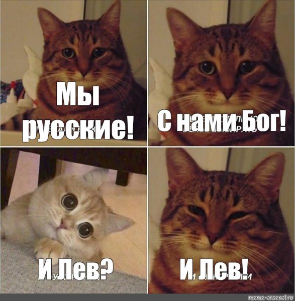 Я русский Мем котик