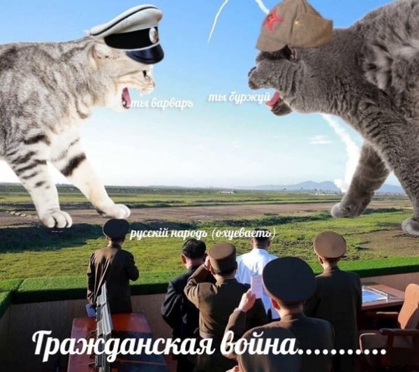 Кот Мем на русском