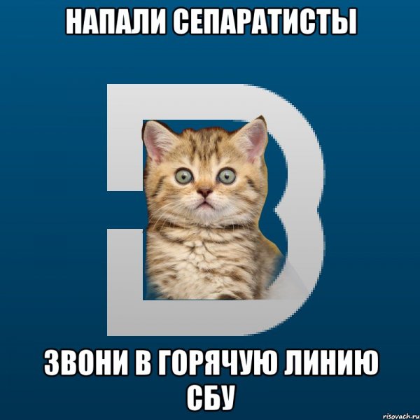 Ясно понятно котик