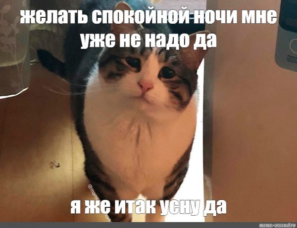Мемы я русский с котом