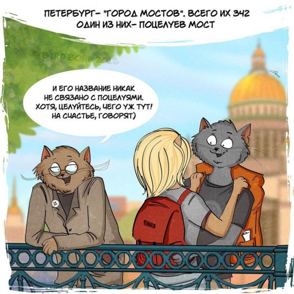 Приколы про Питер