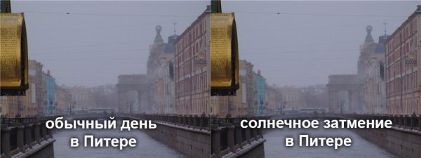 Шутки про погоду в Питере