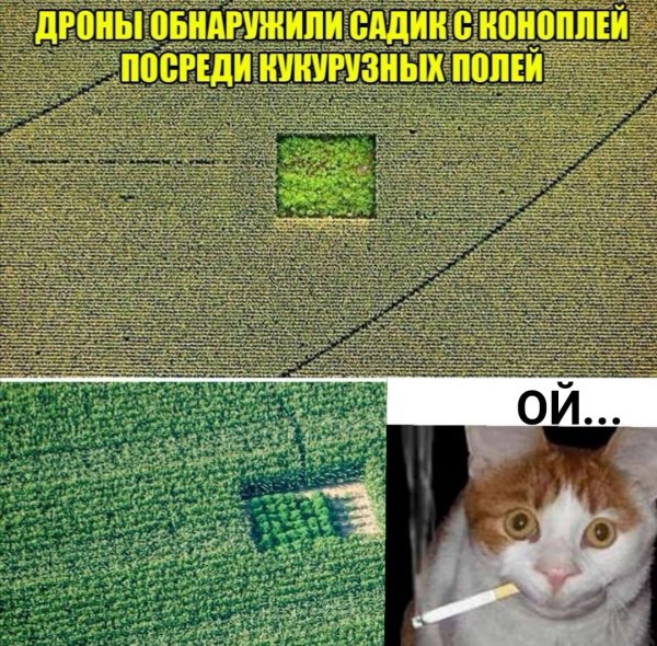 Смешные мемы