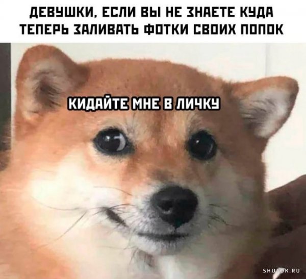 Прикольные мемы с надписями