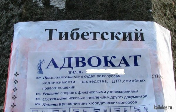 С днем юриста