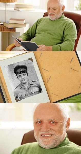Мемный дед Гарольд
