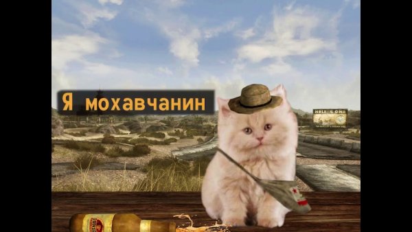 Я мохавчанин