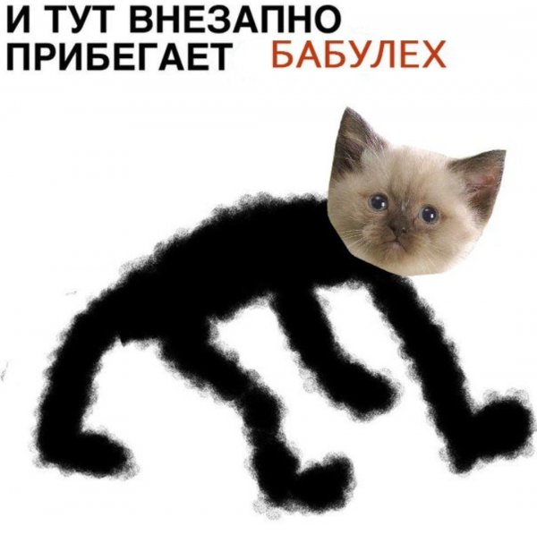 Бубалех кот Мем