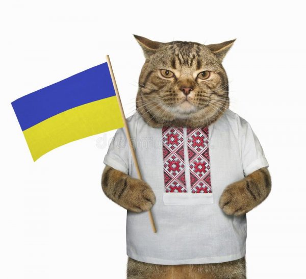Кот с флагом Украины