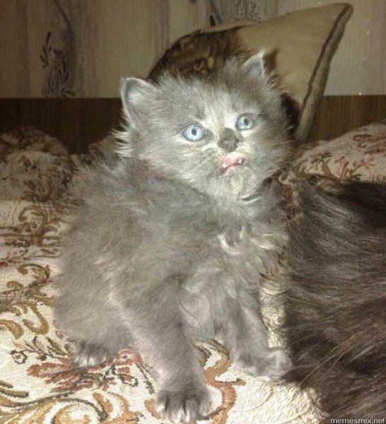 Завтра опять на работу