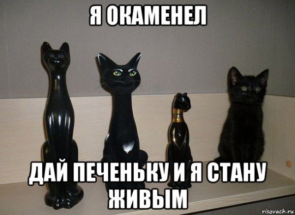 Черный котенок Мем